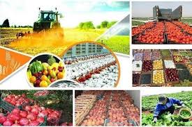 اصول بسته بندی محصولات کشاورزی و غیرکشاورزی